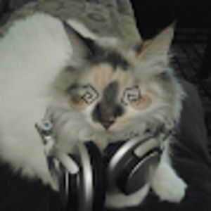 Meet your Posher, Billy